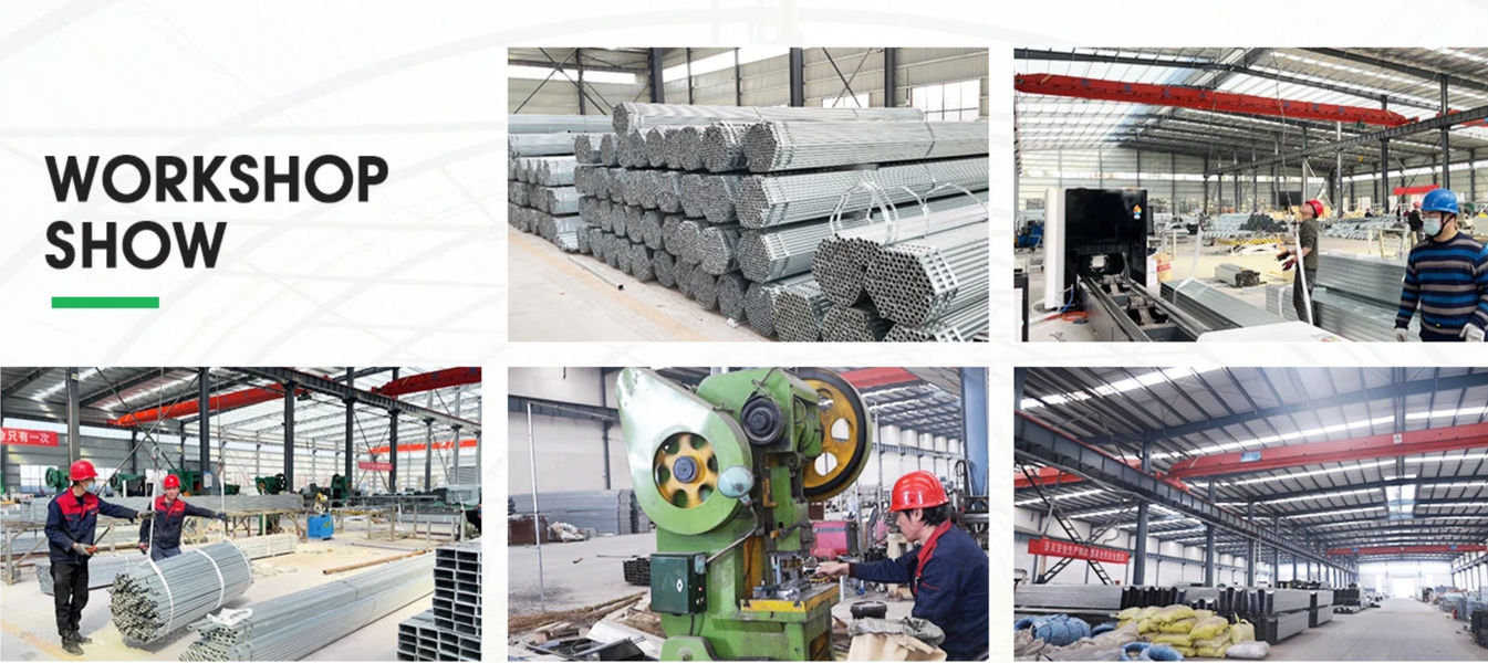Shandong Lisent Agricultural Technology Co., Ltd. γραμμή παραγωγής του κατασκευαστή